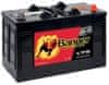 Buffalo Bull akumulator, 110 Ah (D+), 12 V