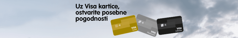 Visa