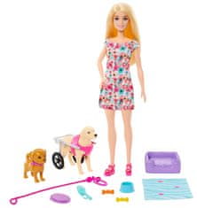 Mattel Barbie HTK37 lutka i pas s invalidskim kolicima