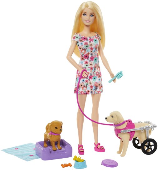 Mattel Barbie HTK37 lutka i pas s invalidskim kolicima