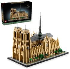 Architecture Notre-Dame u Parizu (21061)