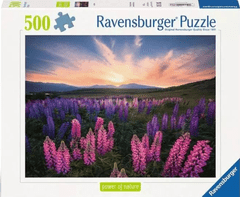 Ravensburger puzzle, Lupin, ukrasni cvijet, 500/1