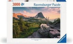 Ravensburger slikovita slagalica priroda i životinje, 3000 dijelova