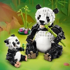 LEGO Creator 31165 Divlje životinje: obitelj panda