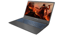 Dream Machines RG3050-15EU50_SL laptop, i5-13500H, 16GB, SSD500GB, RTX3050, FreeDOS