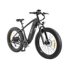 DYU Električni bicikl King 750 Fat Tire, 66,04 cm, 750 W, 45 km/h, crni