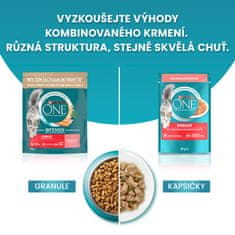 Purina ONE One hrana za odrasle mačke Sterilcat, piletina s pšenicom, 6 kg