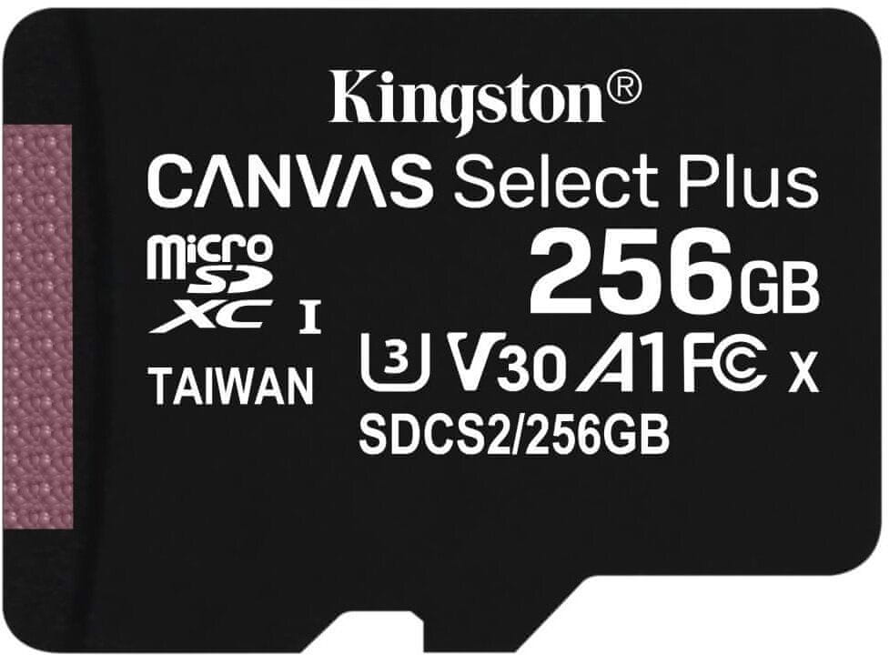 Kingston canvas select plus deals nintendo switch