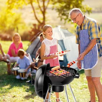 BBQ roštilj na ugljen s poklopcem, kolica, poklopac, posuda od porculana, posuda za pepeo