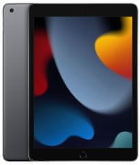 iPad 2021 tablet, 25,9 cm (10,2), Wi-Fi, 64 GB, Space Gray (MK2K3HC/A)