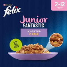 Felix hrana za mačke Fantastic Junior s piletinom i lososom u želeu, 12 (4x85 g)